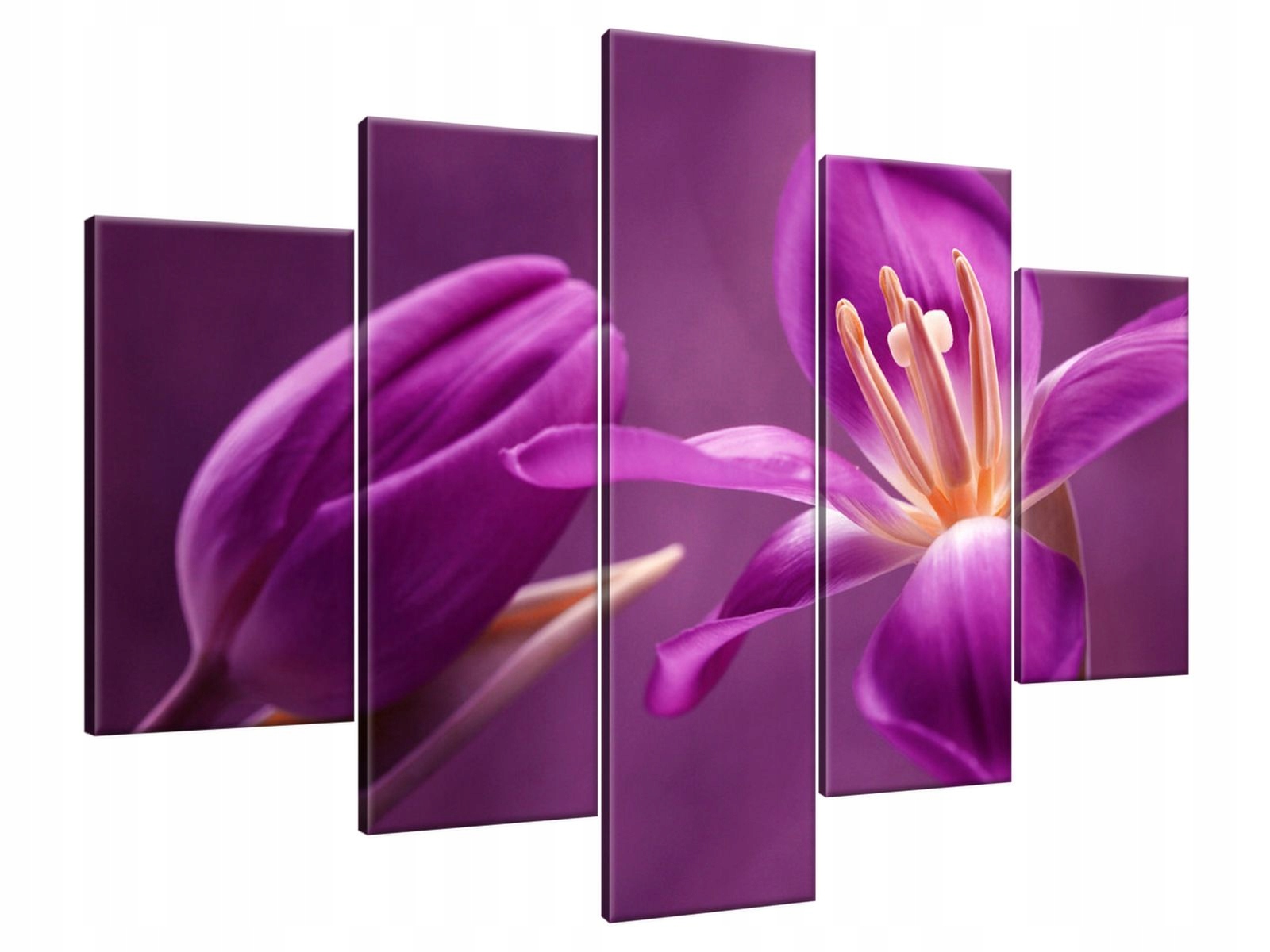 

Obraz Drukowany 150x105 Fioletowe kwiaty widok u