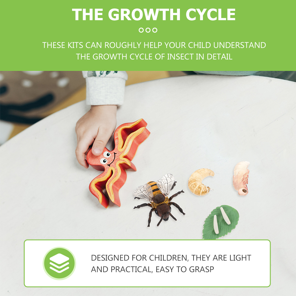 3 ZESTAWY SYMULACYJNYCH MODELI WZROSTU OWADÓW Materiał plastik