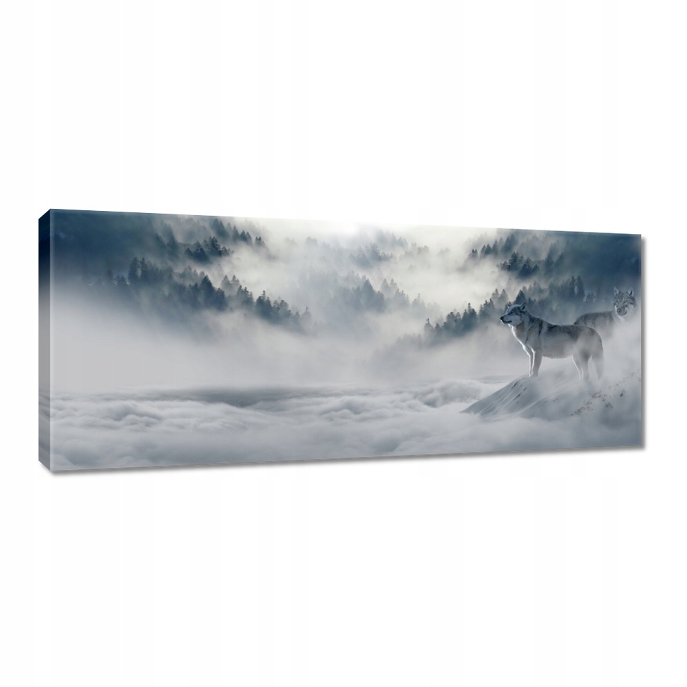 

Obrazy 100x40 Wilki w naturze