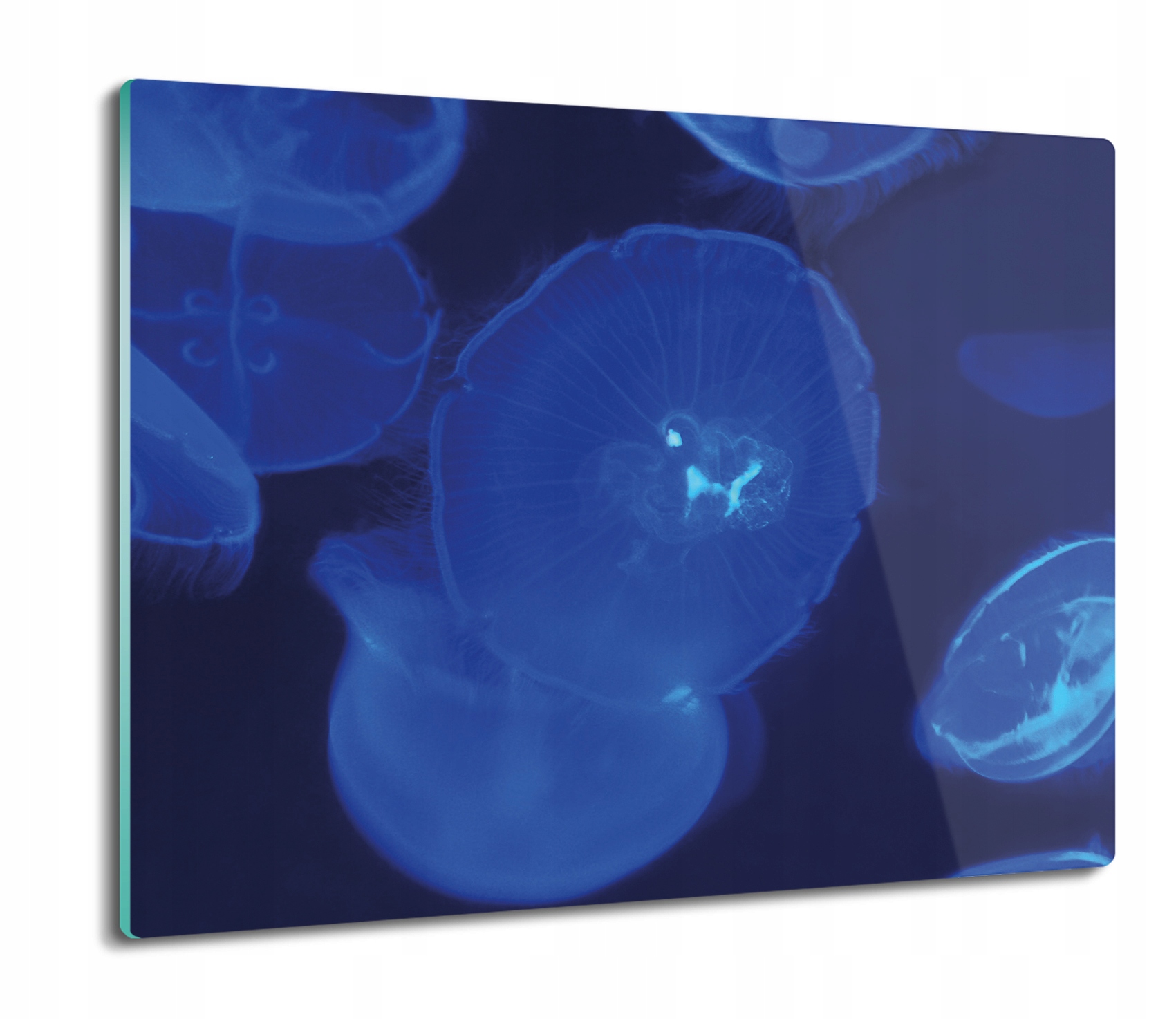 

Meduzy morze ocean 60x52 deska prostokątna szklana