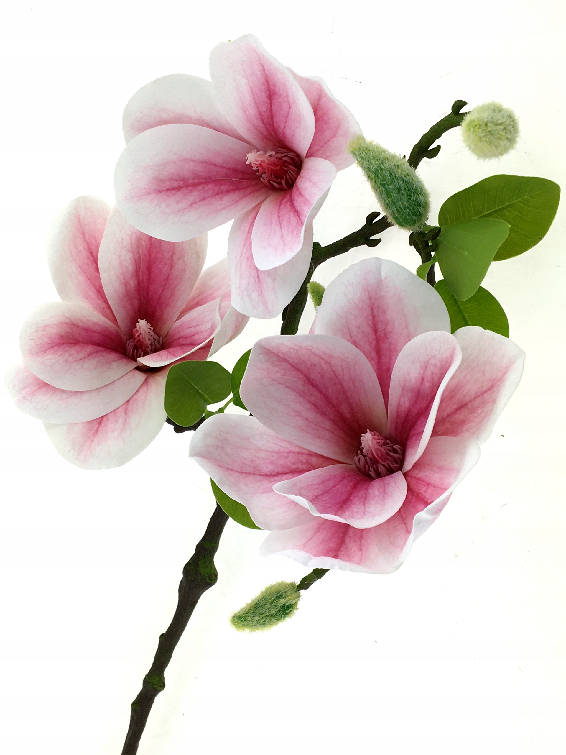 

Magnolia Różowa Gałązka 56cm jak Naturalna Premium