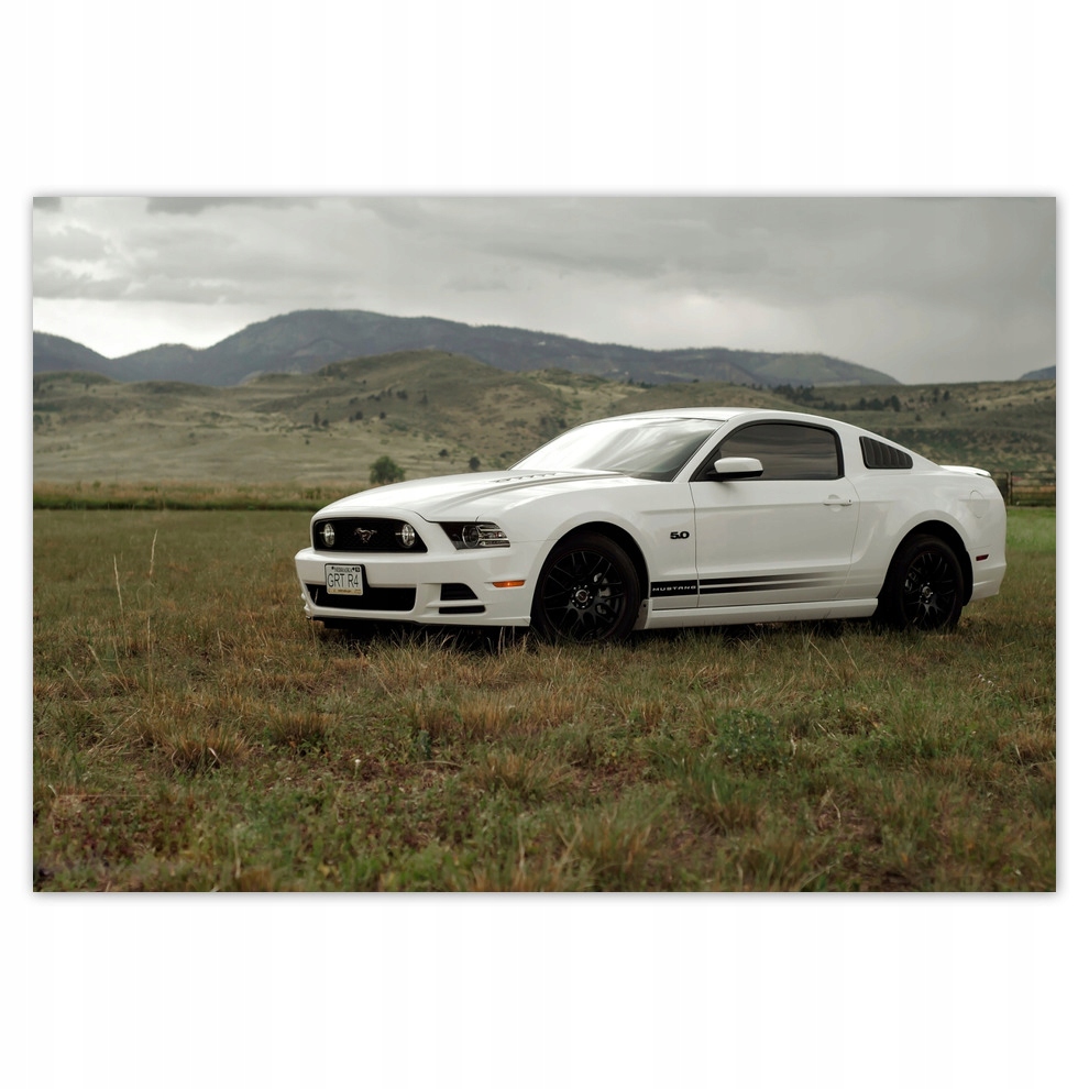 Fototapety flizelina 104x70 Bílá Ford Mustang