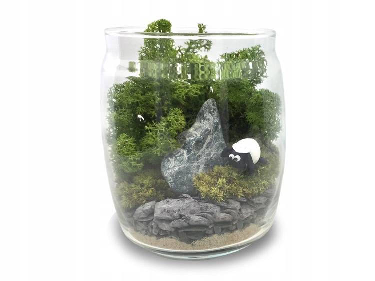 

Jarden Las w słoiku Zielona Polana M