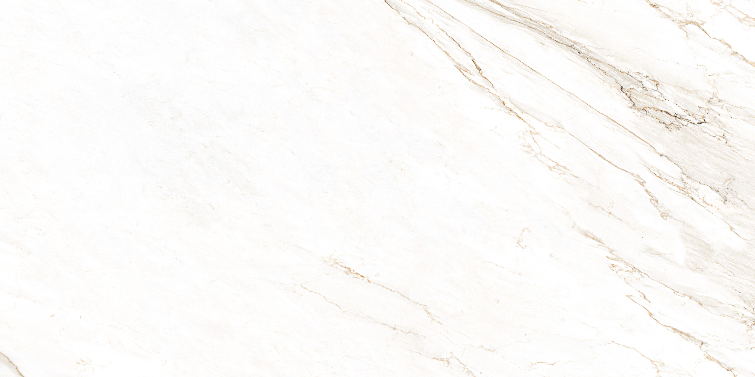 PŁYTKI PODŁOGOWE MARMUR GRES WHITENED 60X120 MAT Typ gres