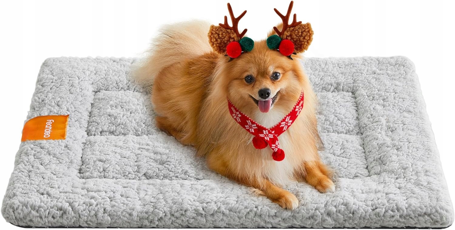 Levně Pelíšek Pro Malé Kotec , Měkký Plyš, Šedý, Pohodlný, 60x45cm