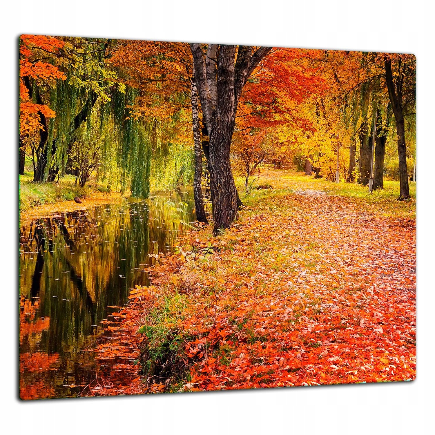 Ochranná Skleněná Deska Panel Lepidlo 65x60 Krajina Tvrzené sklo 7v1