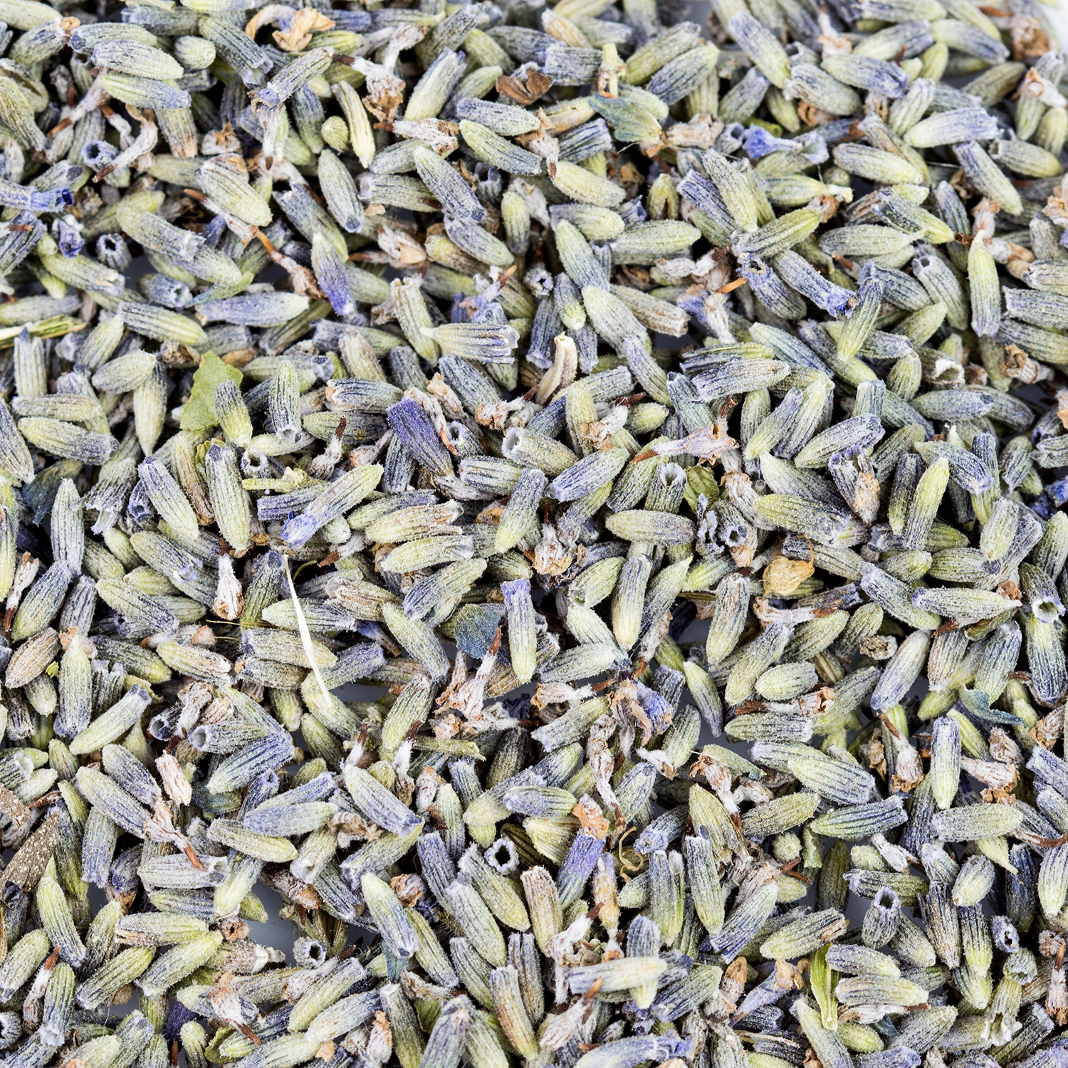 

Lawenda Bio 15g 15g susz do waporyzacji