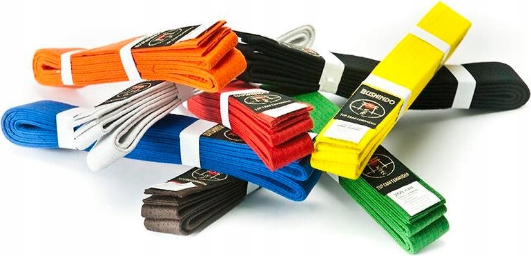 PAS KIMONA BUSHINDO BIAŁY KARATE JUDO 220 cm Marka Bushindo