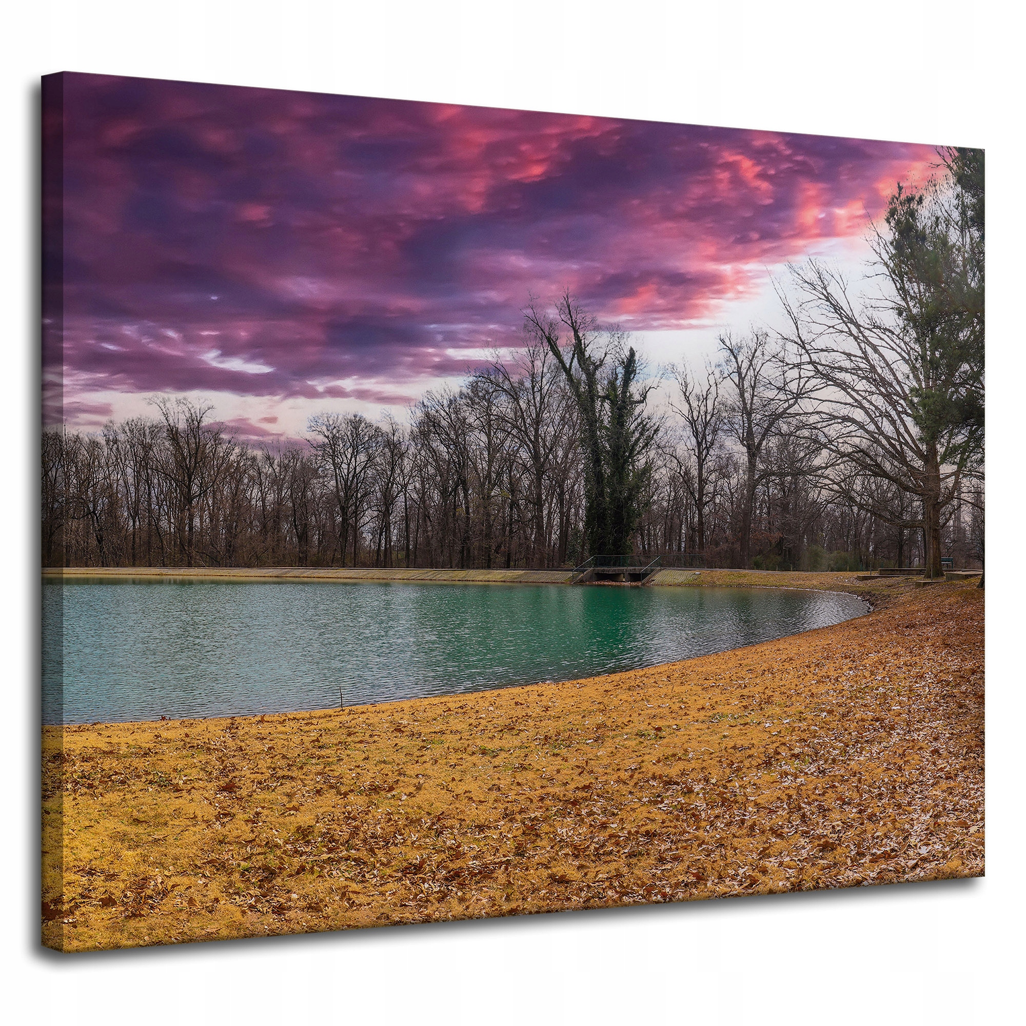 Obraz na plátně Fialové nebe Rybník Stromy Podzim 100x80 cm