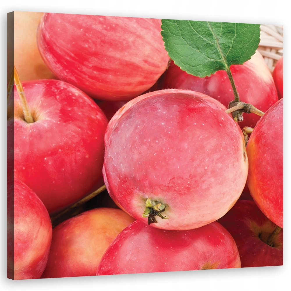 Obraz na plátně Jablko ovoce makro 60x60