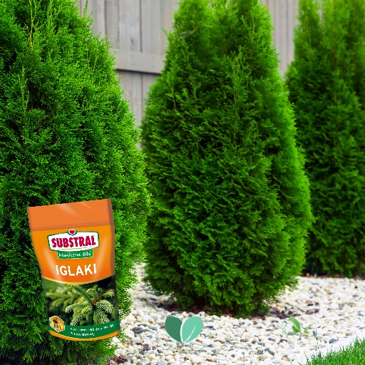 Magiczna Siła Nawóz Do Iglaków 350g Substral Producent Substral