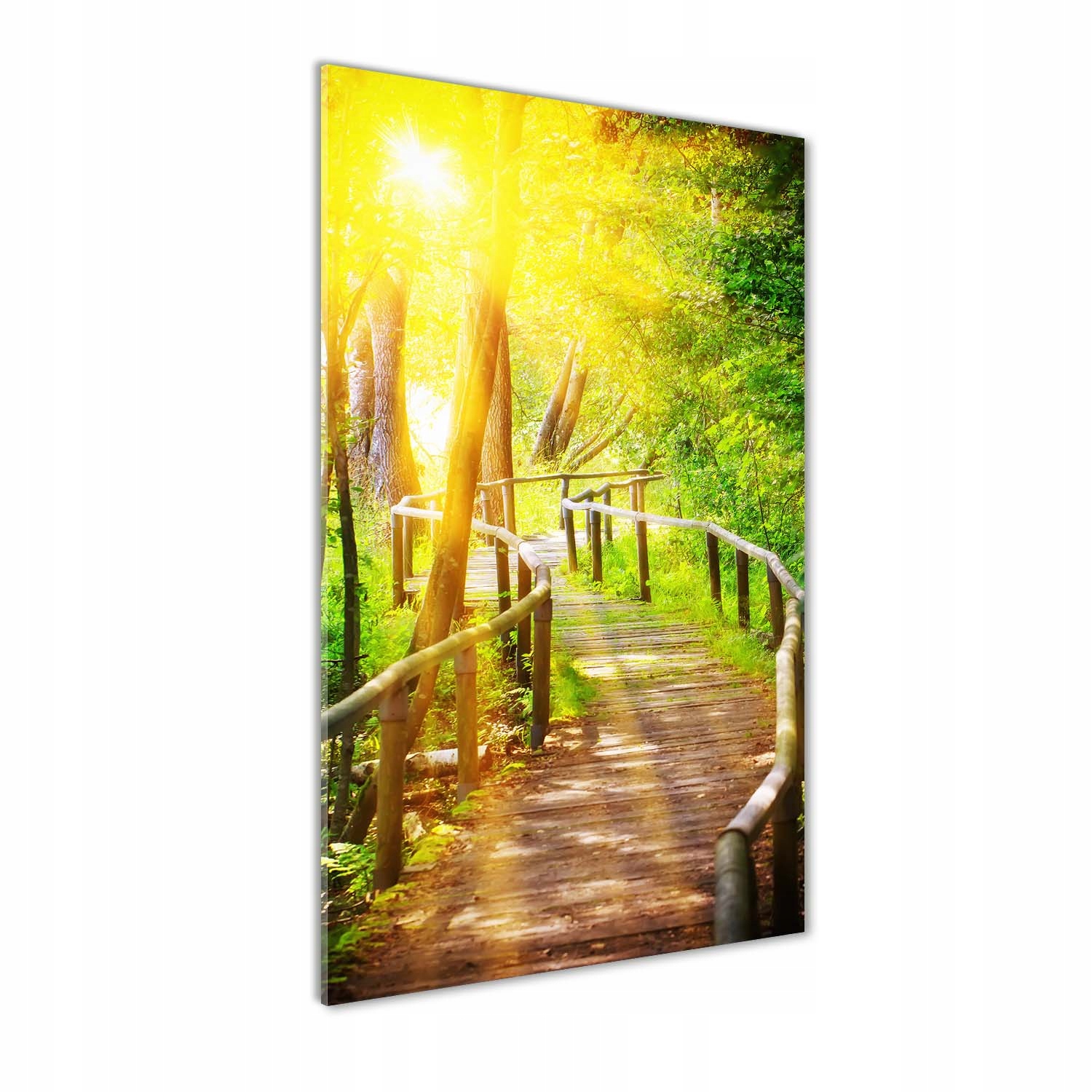 

Foto obraz szkło akrylowe Ścieżka w lesie 60x120cm