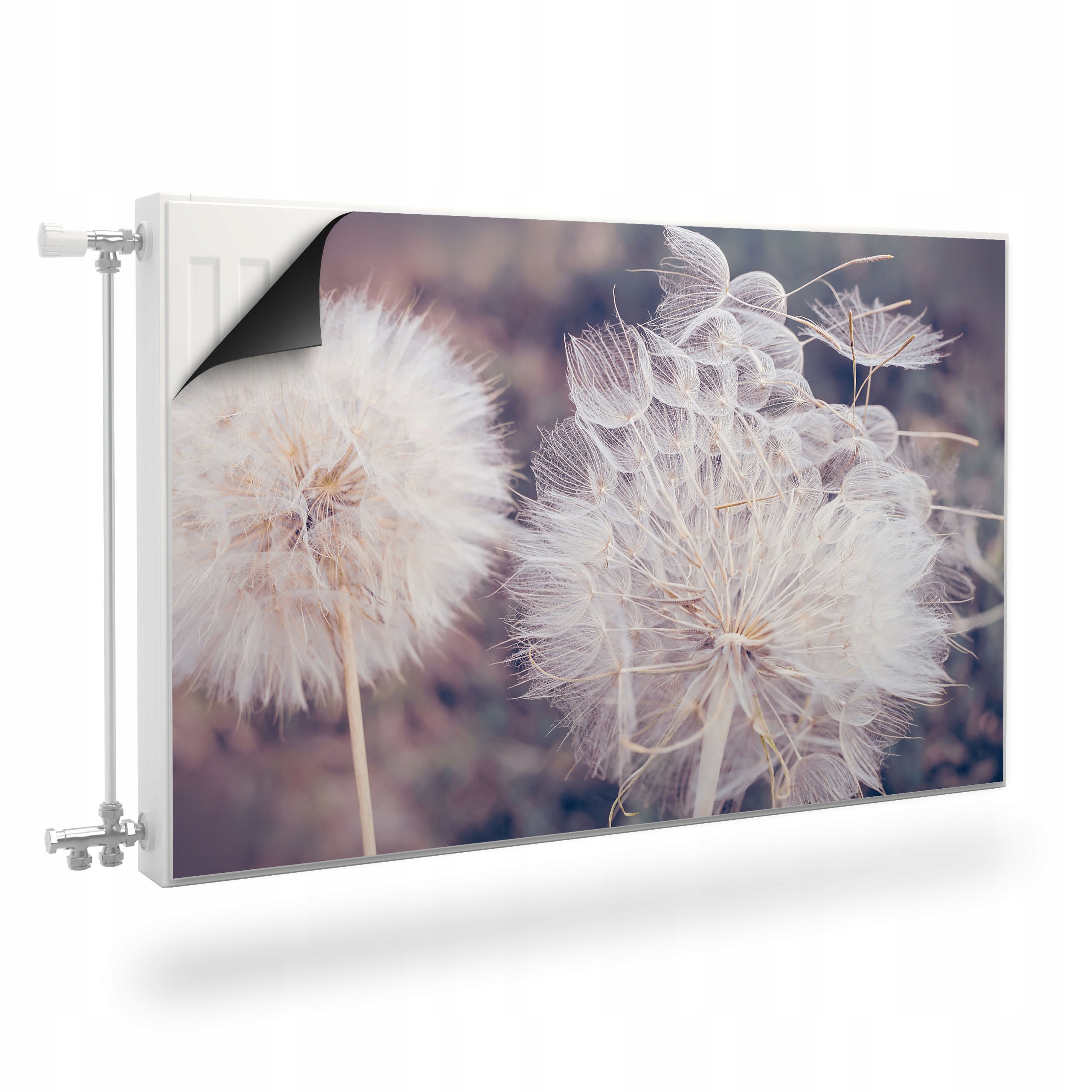 

Maskownica Magnetyczna Grzejnika Dmuchawce 100x60
