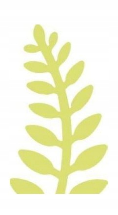 DZIURKACZ OZDOBNY 5CM PAPROĆ