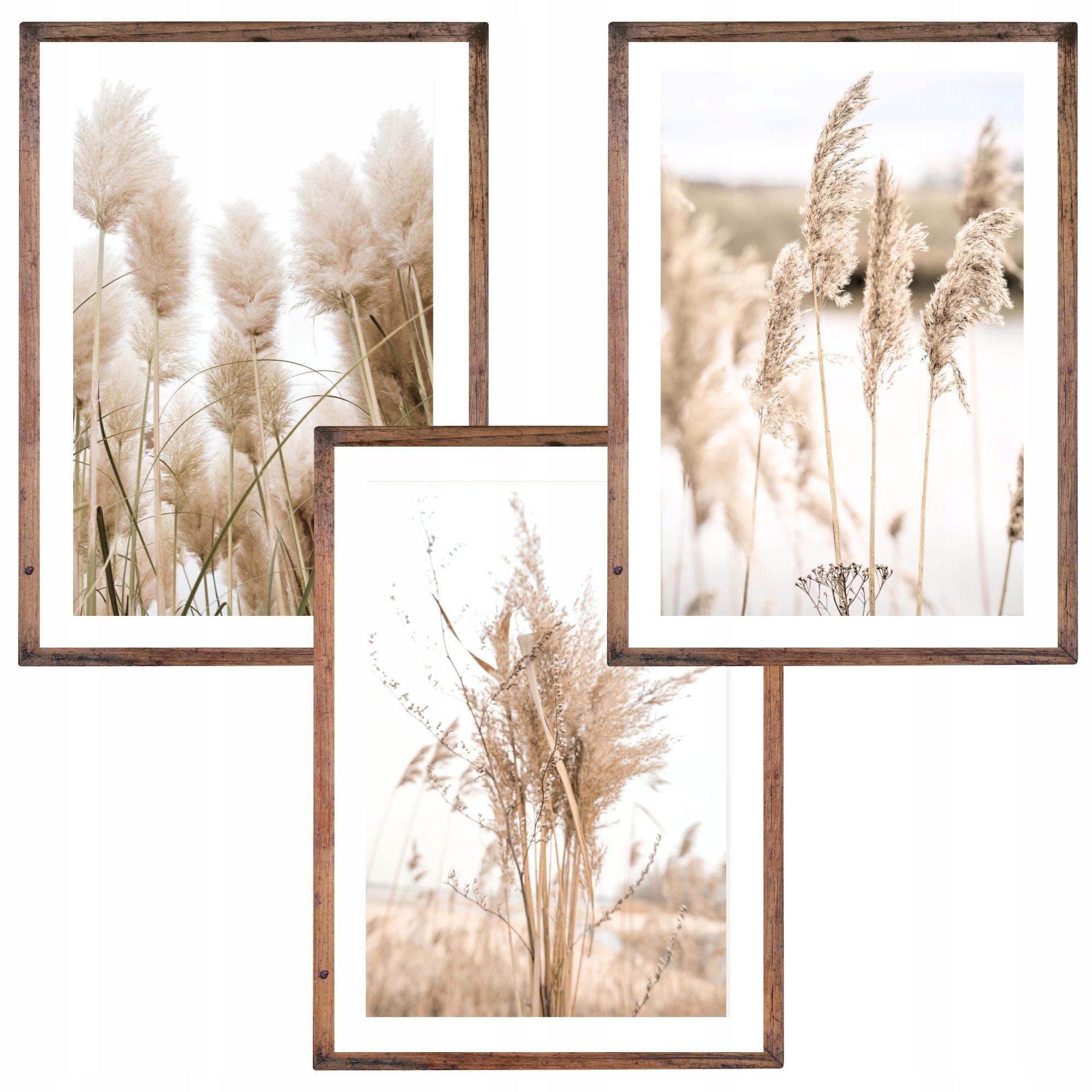 ZESTAW 3 PLAKATY OBRAZY WIOSENNE WIOSNA 50x70 BOHO TRAWY 70x50 FOTO OBRAZ