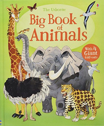 BIG BOOK OF ANIMALS (BIG BOOKS): 1 - Hazel Maskell