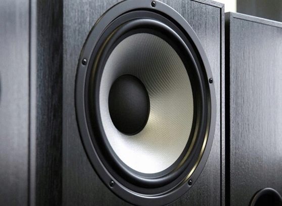 PYLON AUDIO PEARL SUB SUBWOOFER AKTYWNY BRUSHED Model Pearl Sub