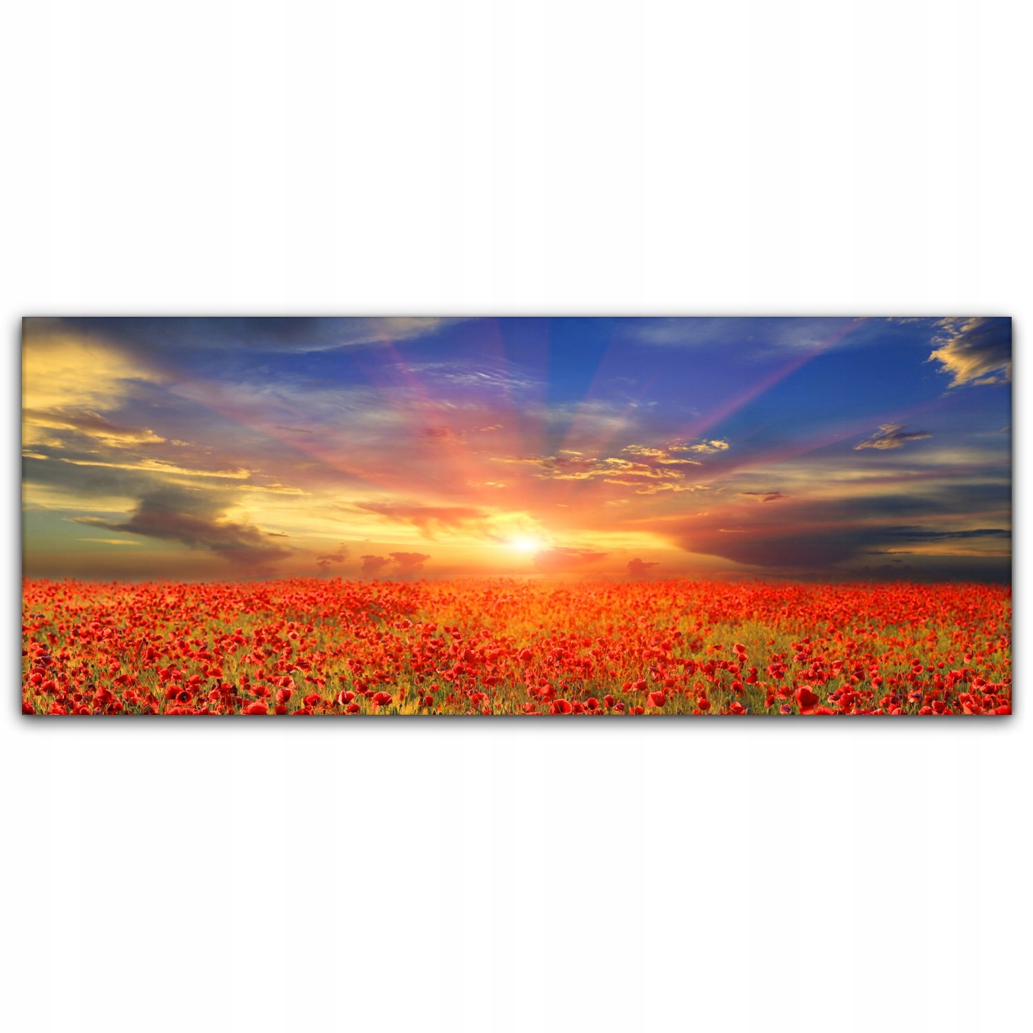 

Foto-obraz canvas 125x50 Pole Maki Zachód Słońca