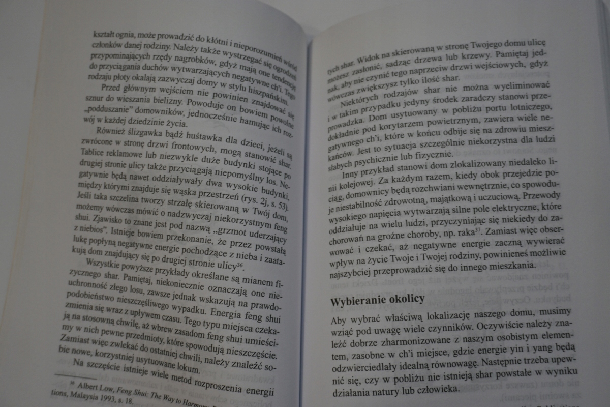 FENG SHUI DROGA DO SUKCESU RICHARD WEBSTER Język publikacji polski