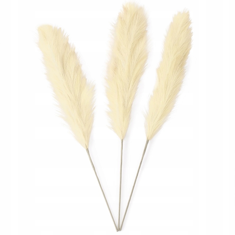 

Kremowa trawa pampasowa suszona ozdobna gałązka