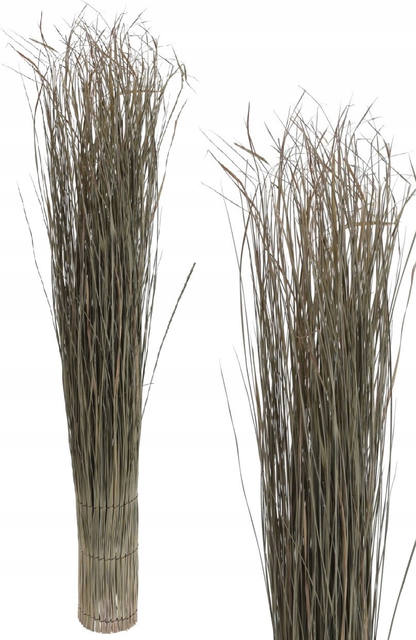 

Trawa Trawy Snopek Trawy Trawa Naturalna 115CM