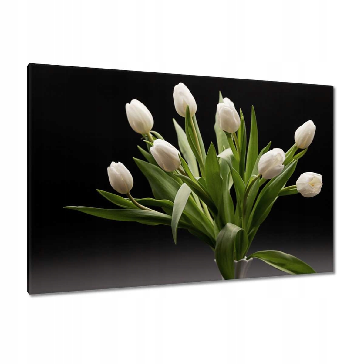 Obrazy 120x80 Bílé Tulipány ve váze