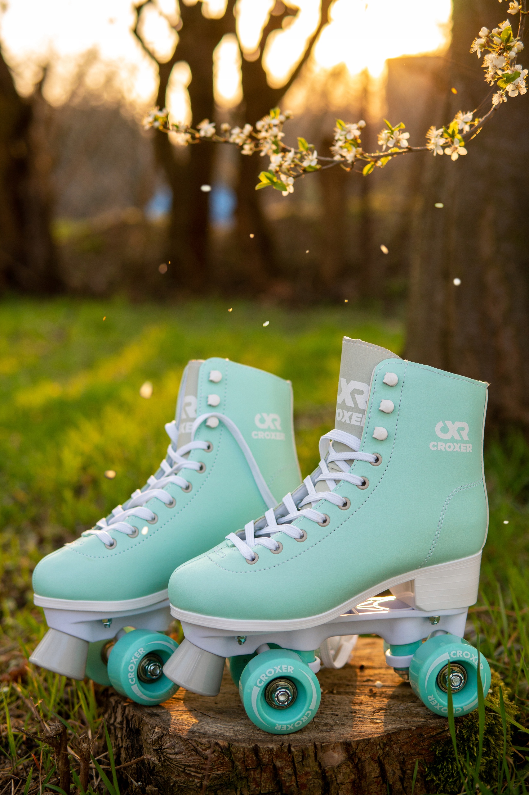 Klasyczne Retro Wrotki Croxer Alessa Mint 38 Model Alessa