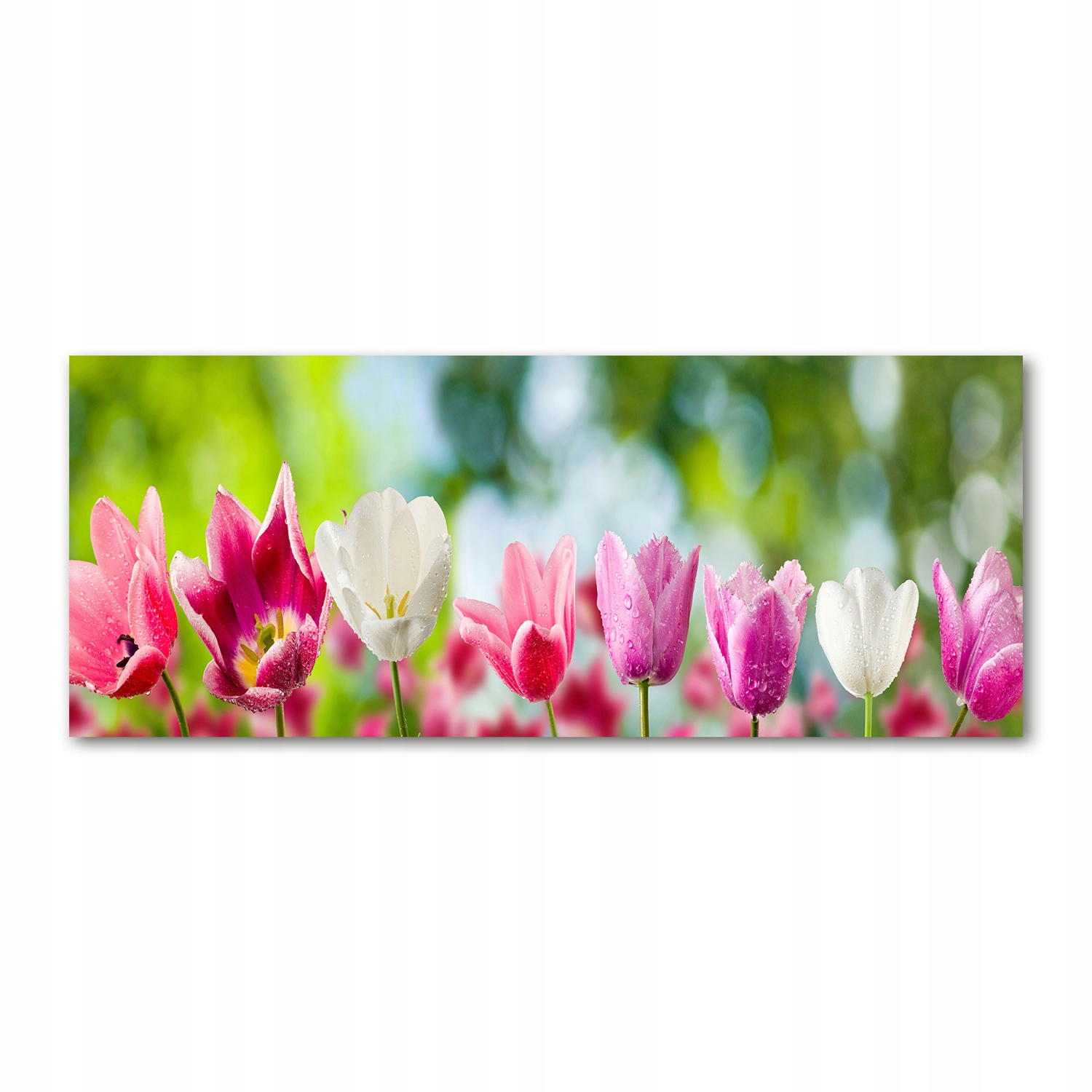 Foto obraz velký akryl moderní Tulipány 125x50 cm