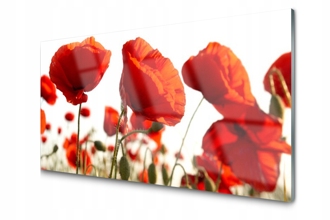 Dekoratívny sklenený panel Tulipány Kvety 100x50