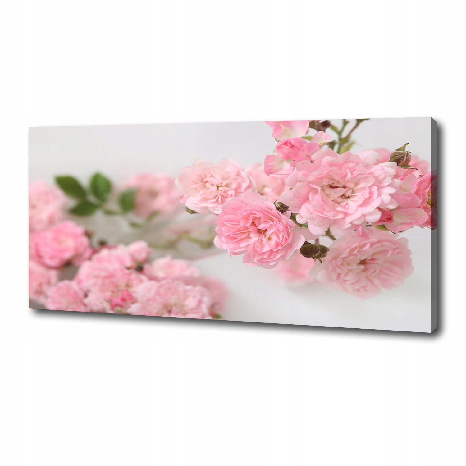 

Foto obraz canvas na ścianę Dzikie róże 125x50 cm