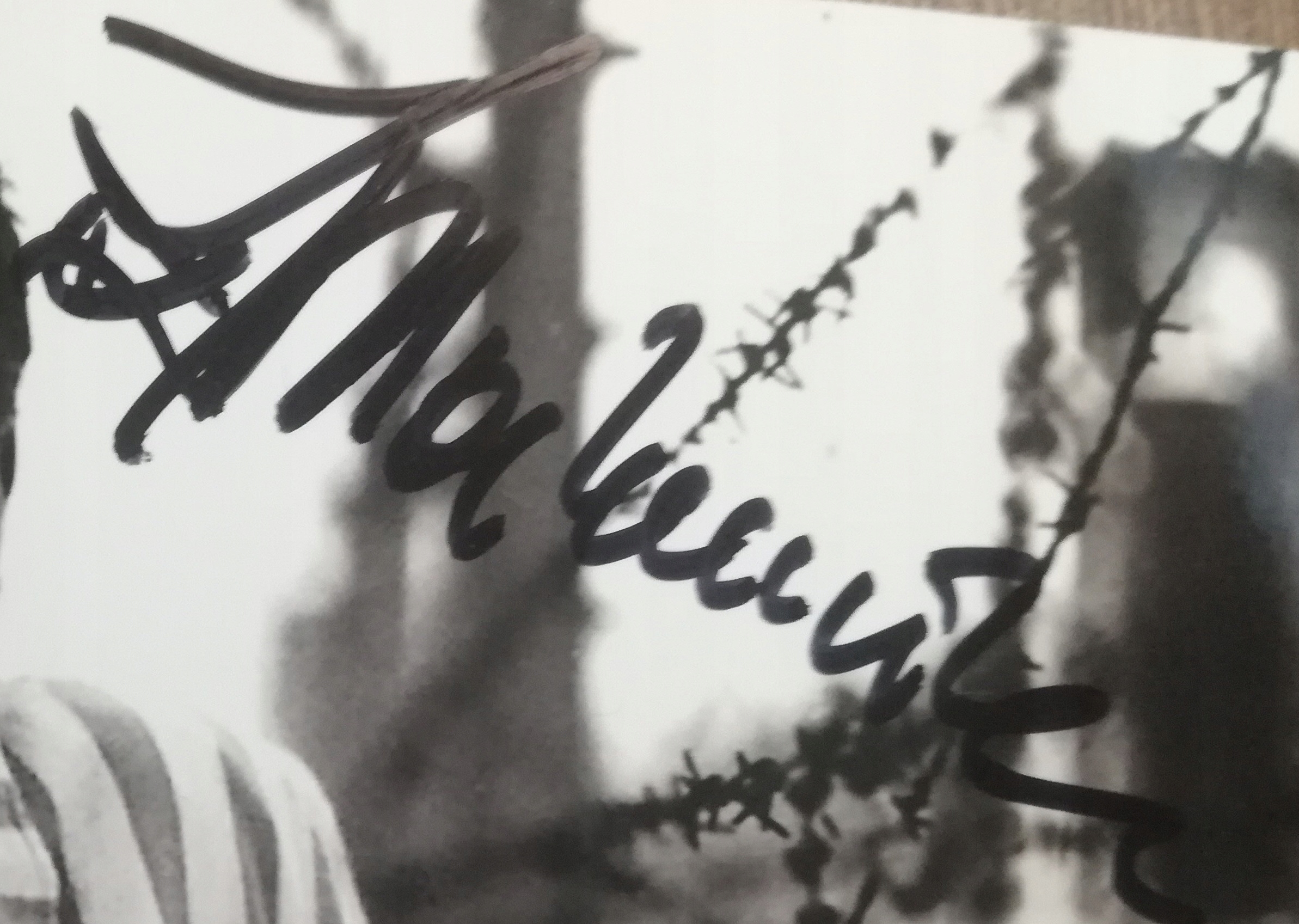 Ś.P. Zygmunt Malanowicz - autograf