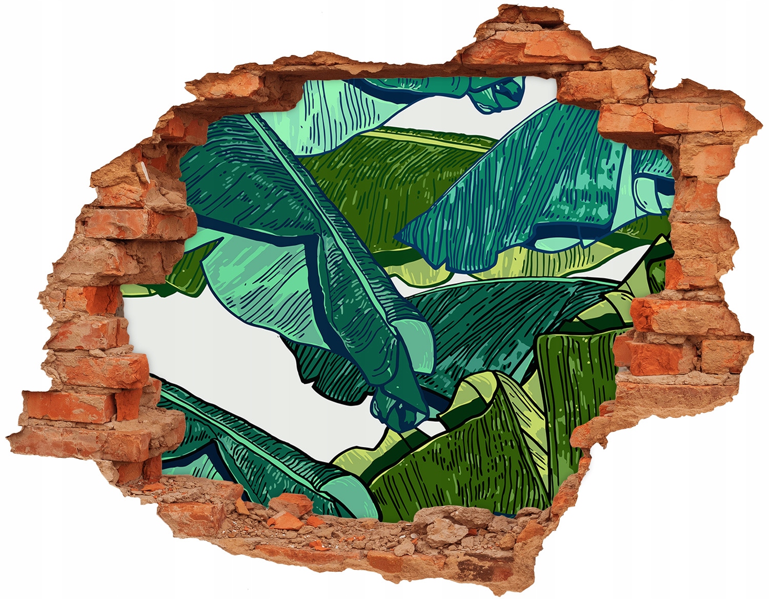 

Naklejka 3d ścienna dekor 120x93 Liście bananowca