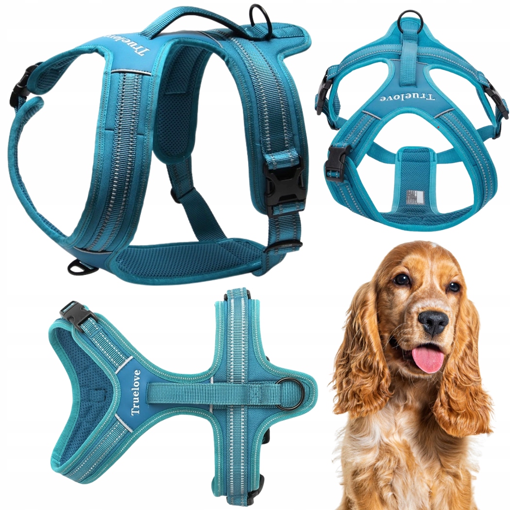 Levně Postroj Pro Psa Easy Walk Pevný S Rukojetí Truelove Security Modrý M