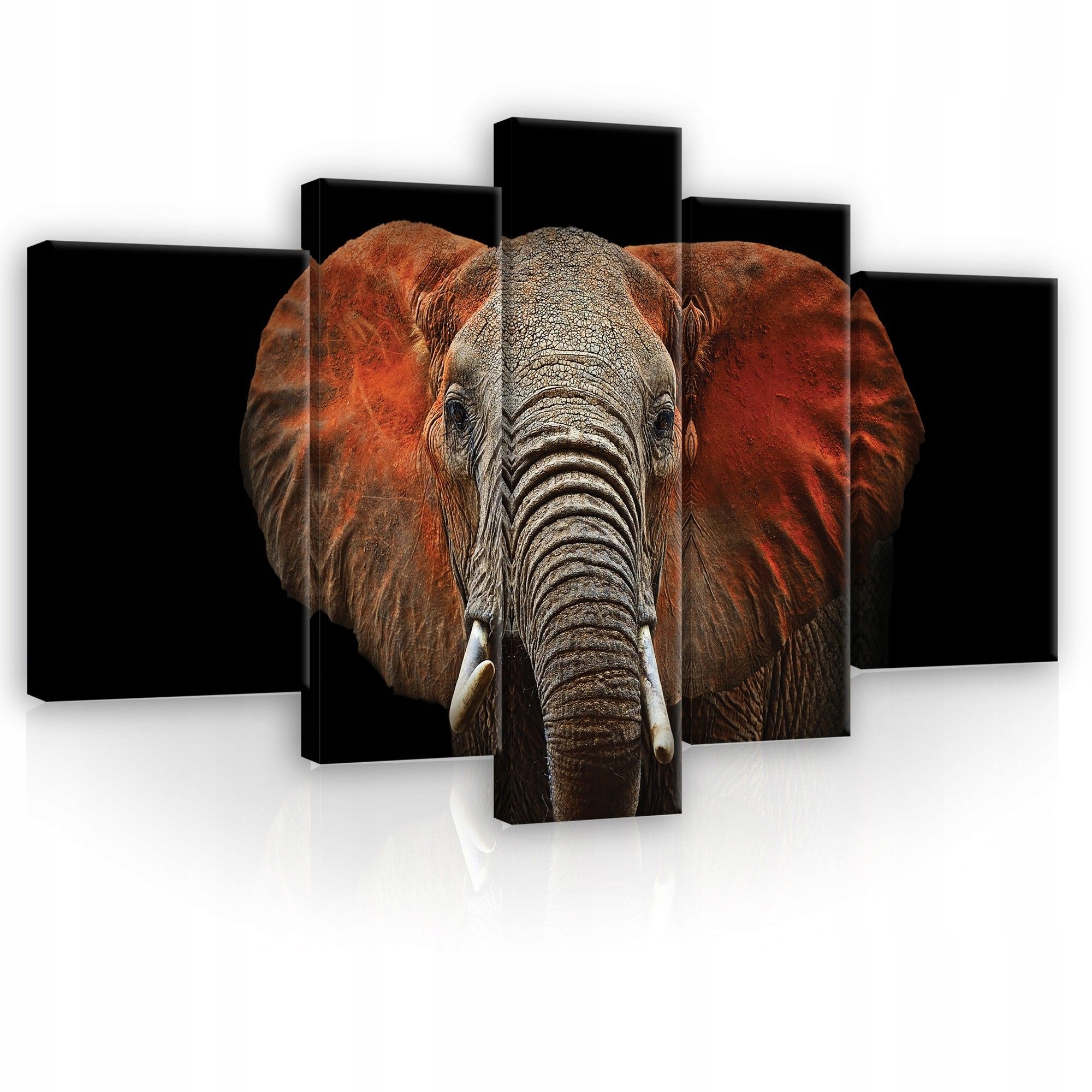 Obraz 170x100 Sila majestátnosť múdrosť slon Afrika sila pokoj príroda