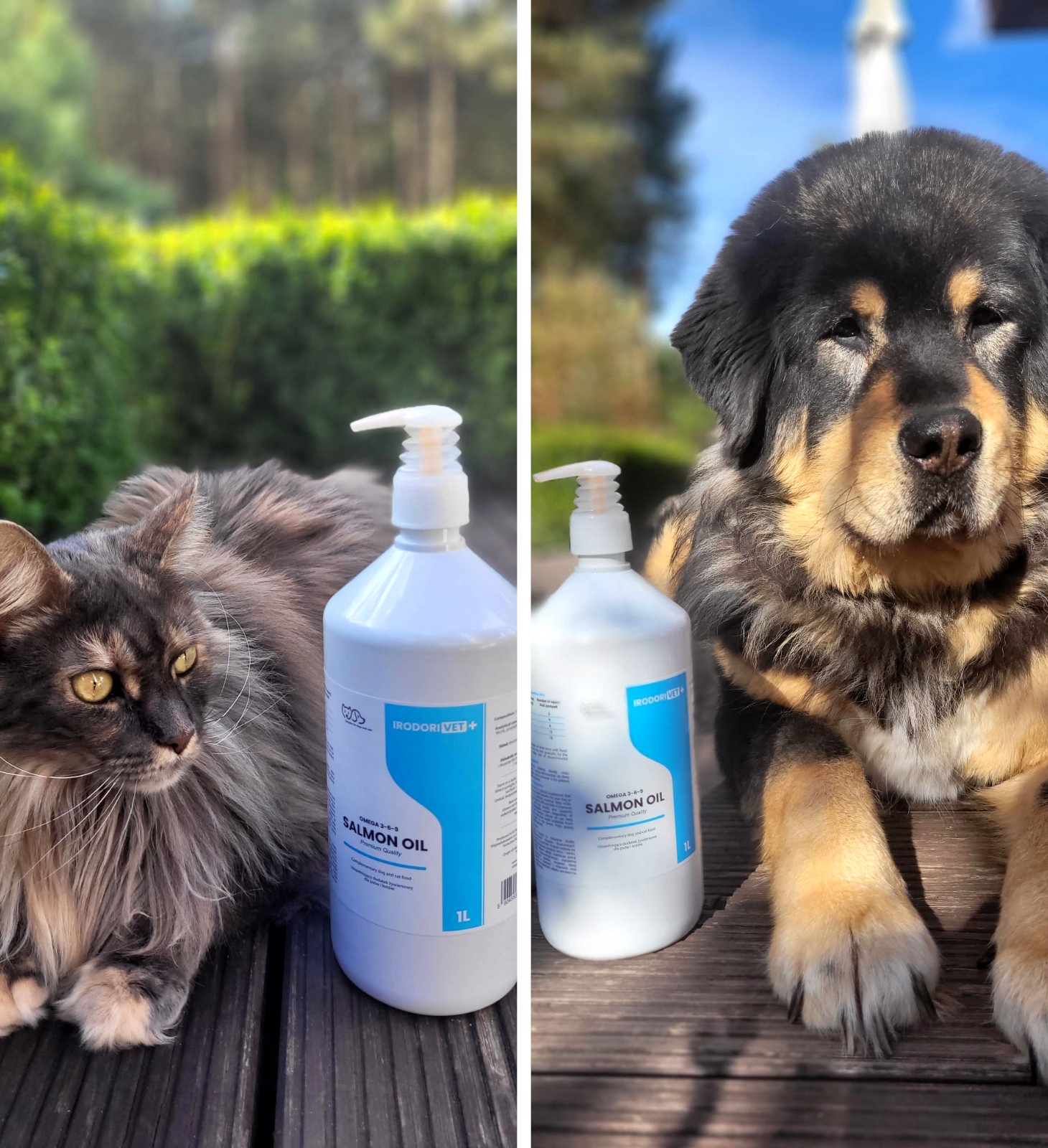 OLEJ Z ŁOSOSIA DLA PSA I KOTA Salmon Oil Omega 3 Omega 6 IRODORI VET 1000ml Marka inna