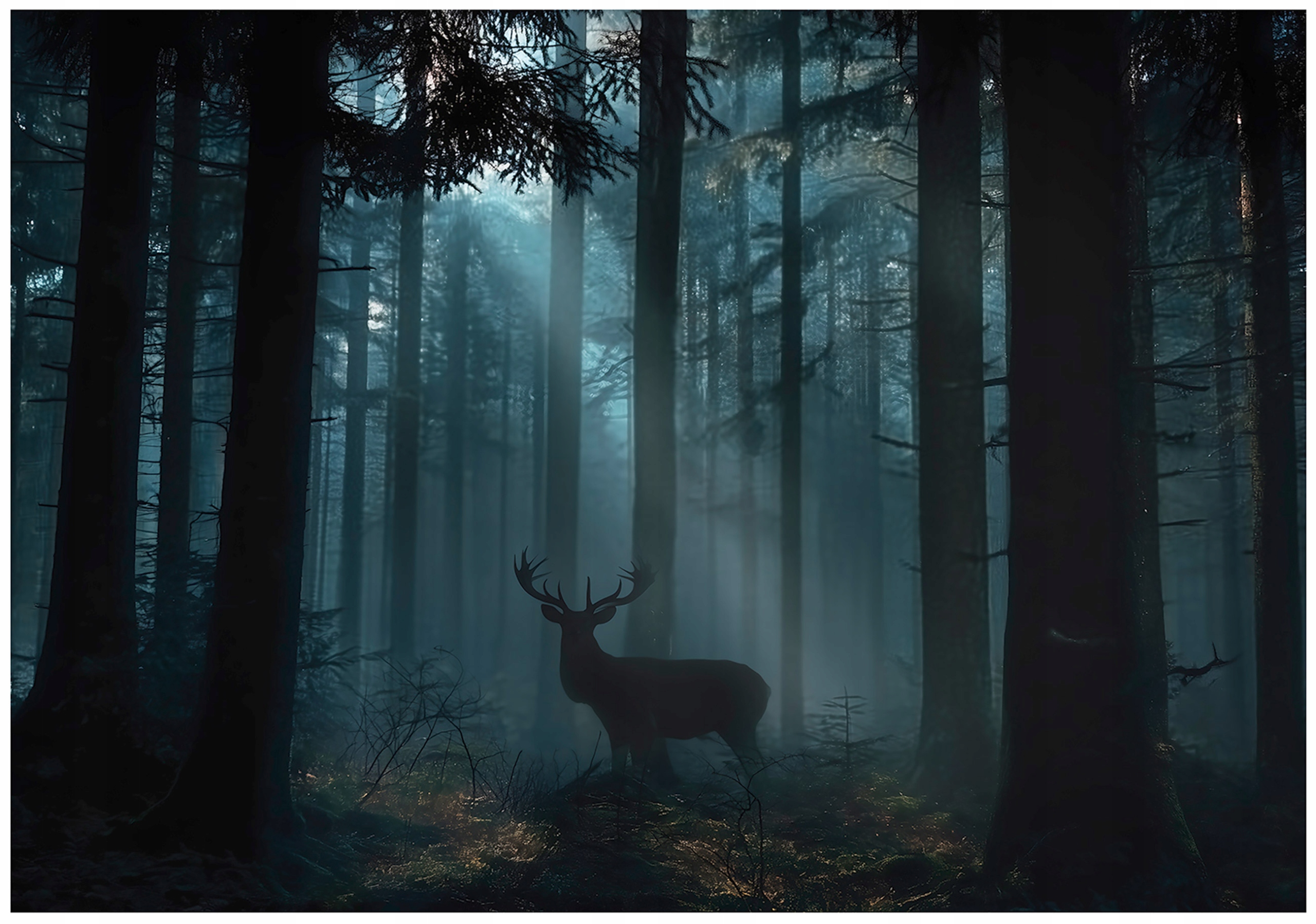 Fototapeta Les Jeleň Zvieratá Stromy Príroda Krajina Lesná Krajina 300x210