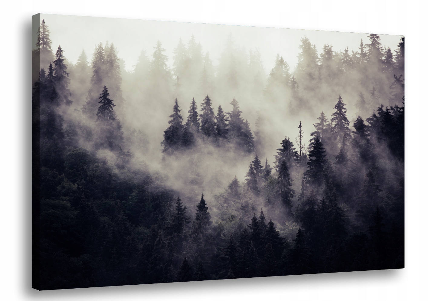 

Obraz na płótnie Las Drzewa Mgła 69A-150x100cm