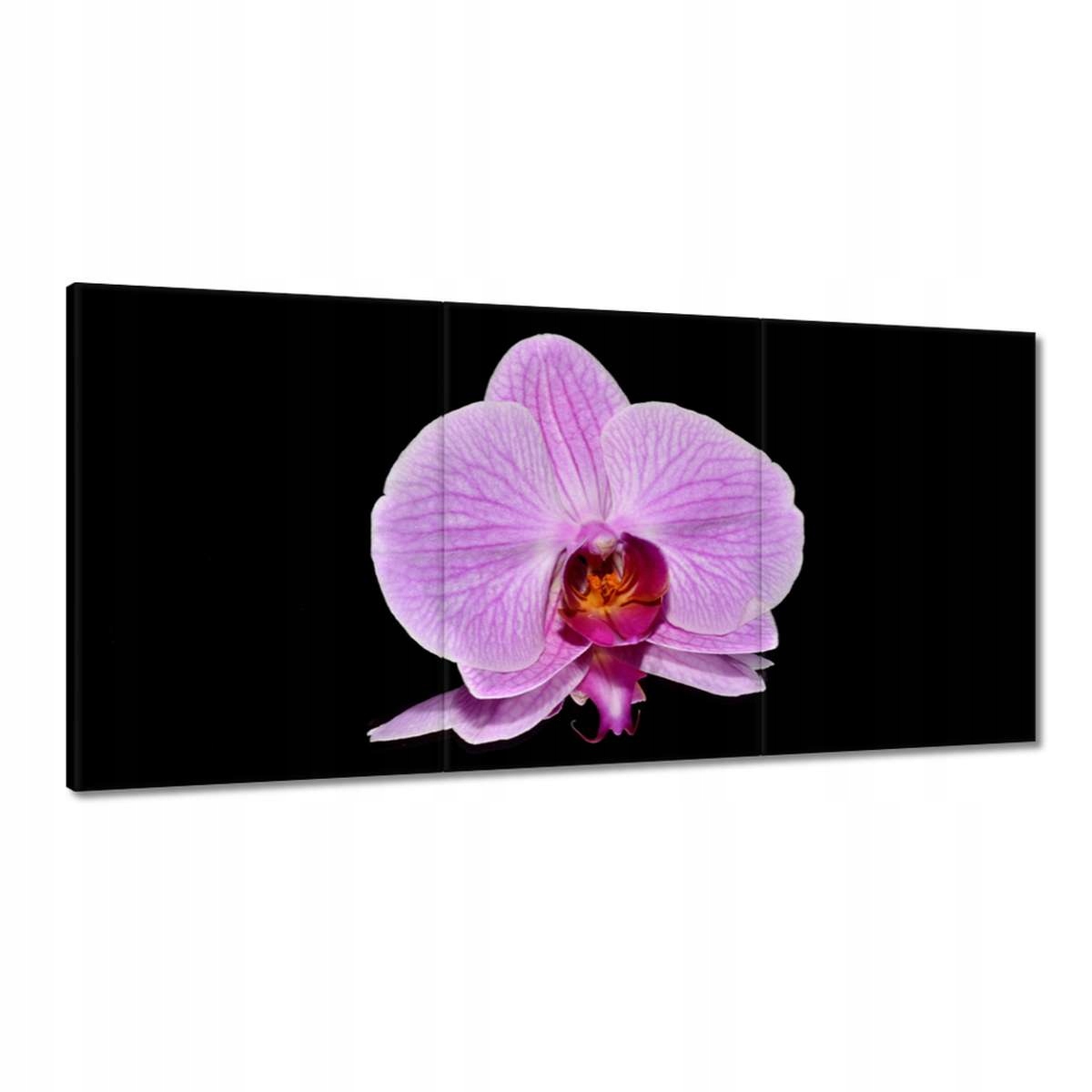 Obrazy 180x90 Fialová orchidea
