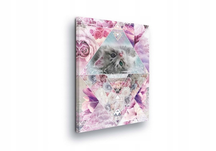 Obraz 60x80 Jemnost kotě květiny růže pastely geometrie trojúhelníky