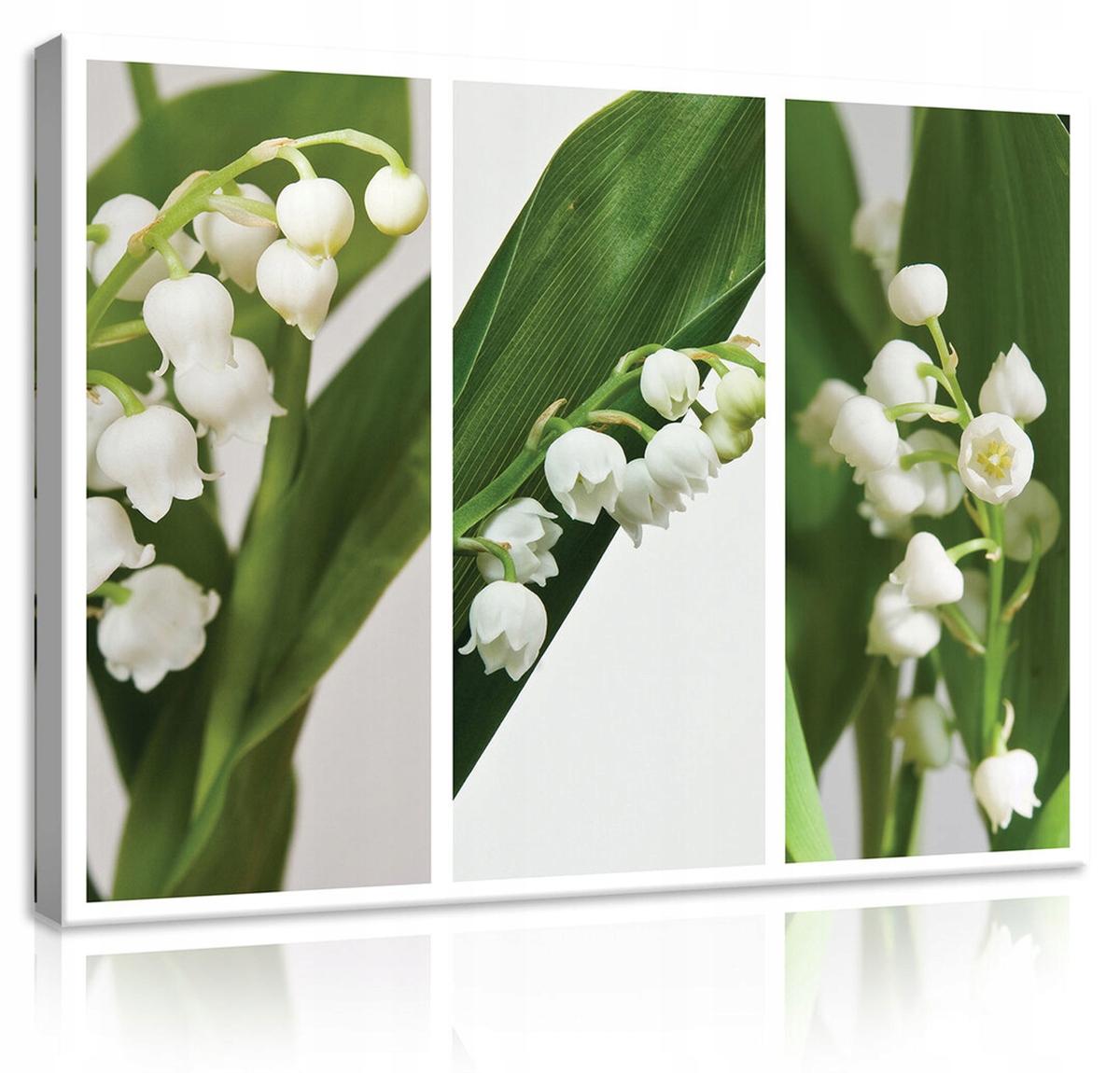 Obraz Na Plátně Canvas 80x60 Konvalinky Květiny