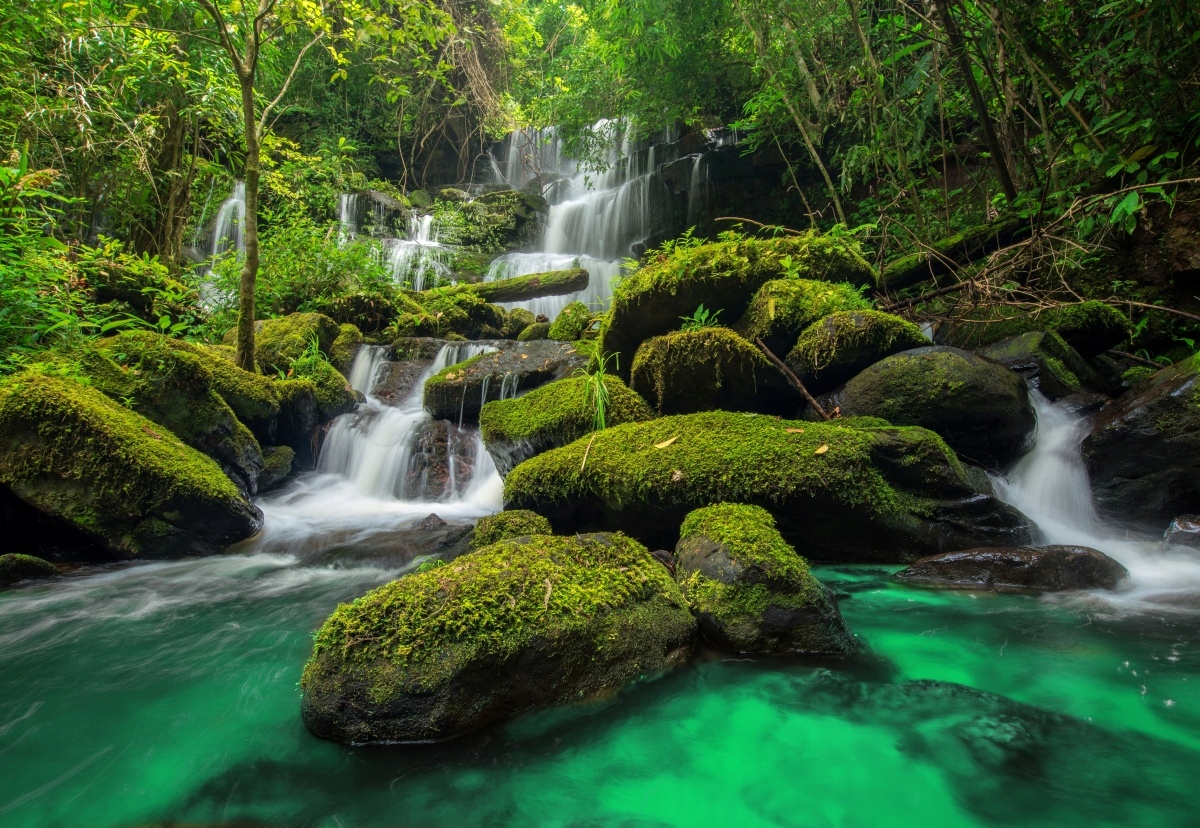 

Fototapeta Flizelinowa Wodospad w dżungli 152x104