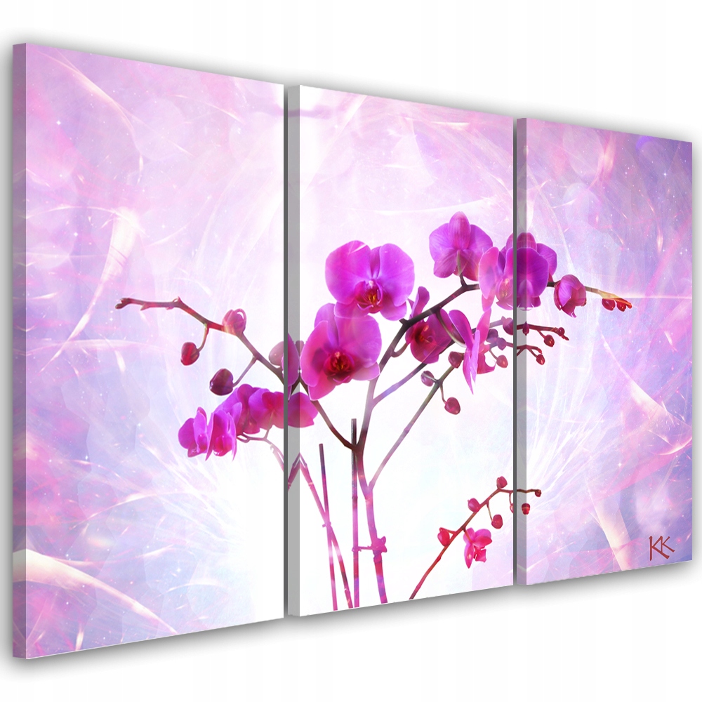 Obraz triptych na plátně, Éterická orchidej 90x60