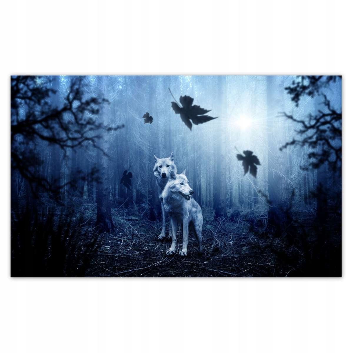 Fototapety 416x254 Wilki w niebieskim lesie