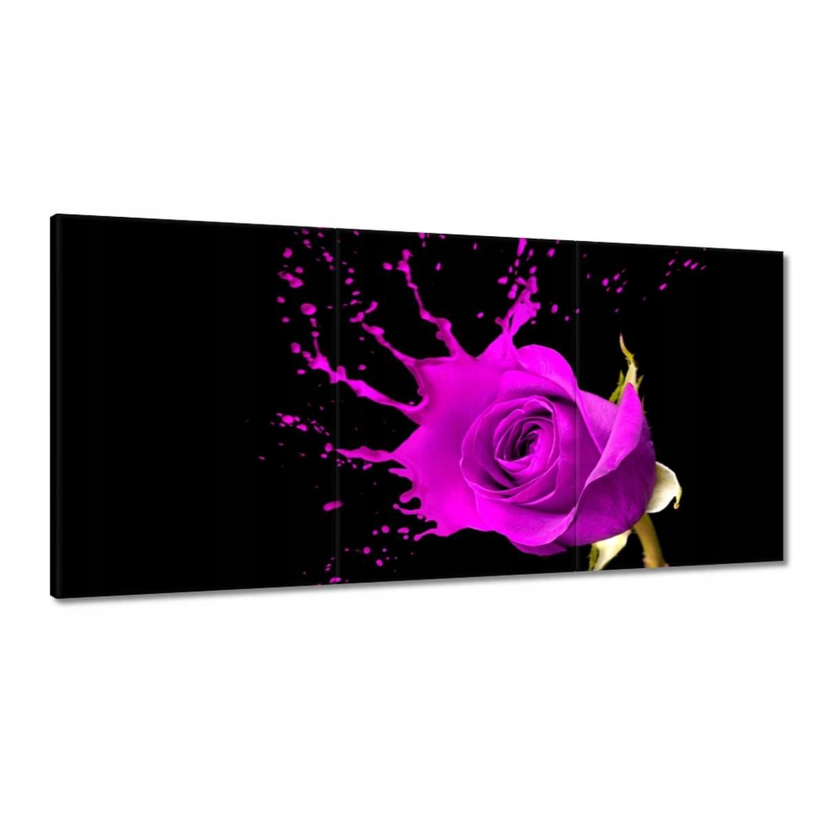 Obrazy 180x90 Fialová ruža s efektom