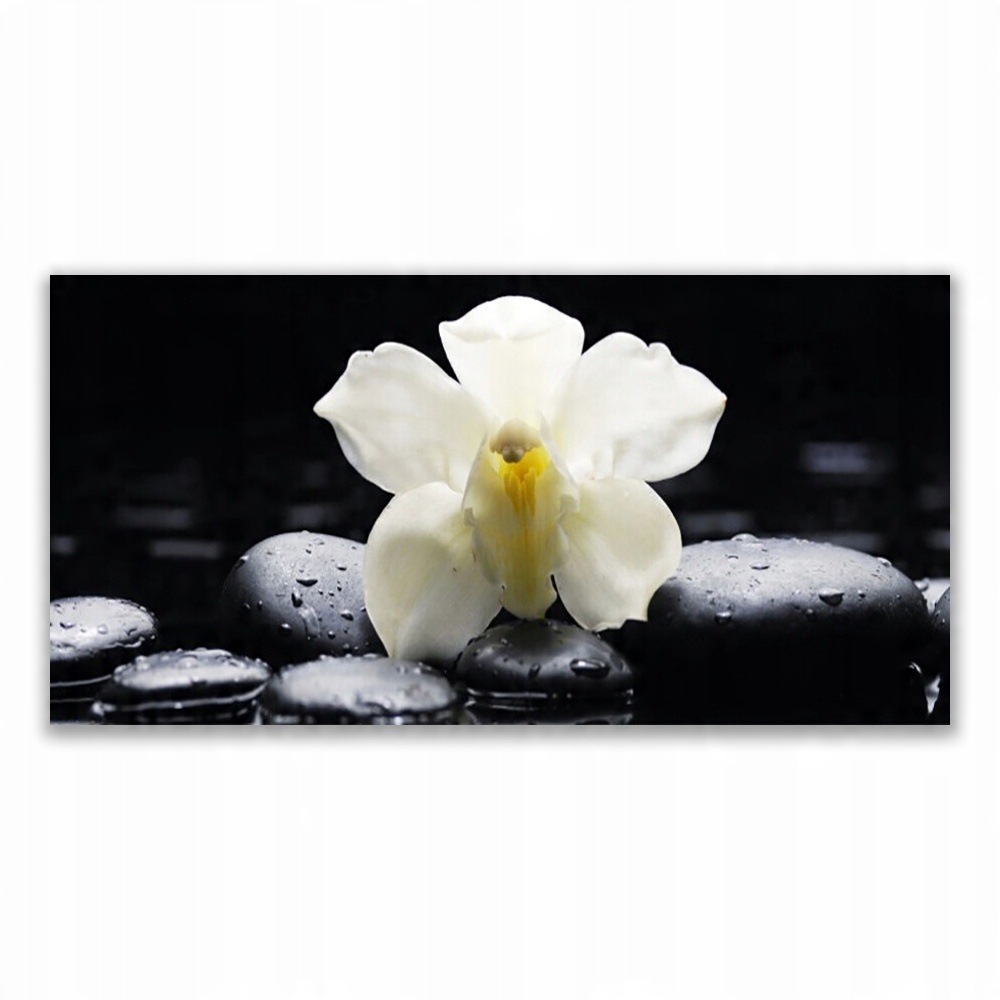 

Fotoobraz nowoczesny 140x70 Kwiat Orchidea Roślina
