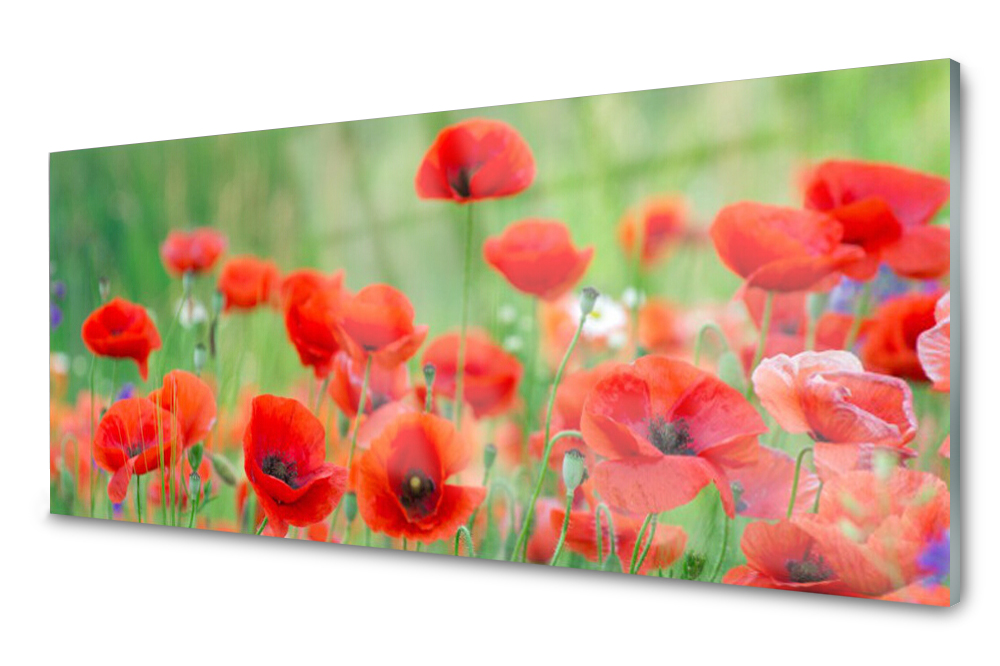 Sklenený panel do kuchyne Maki Rastlina 125x50
