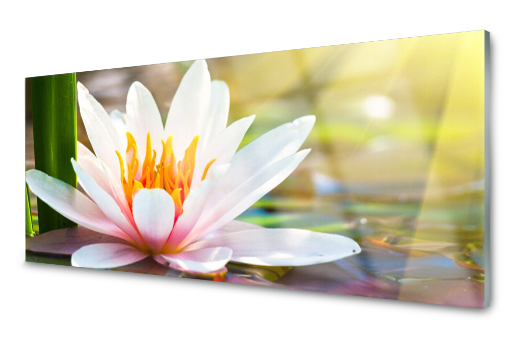 

Panel szklany do kuchni Kwiaty Roślina 125x50