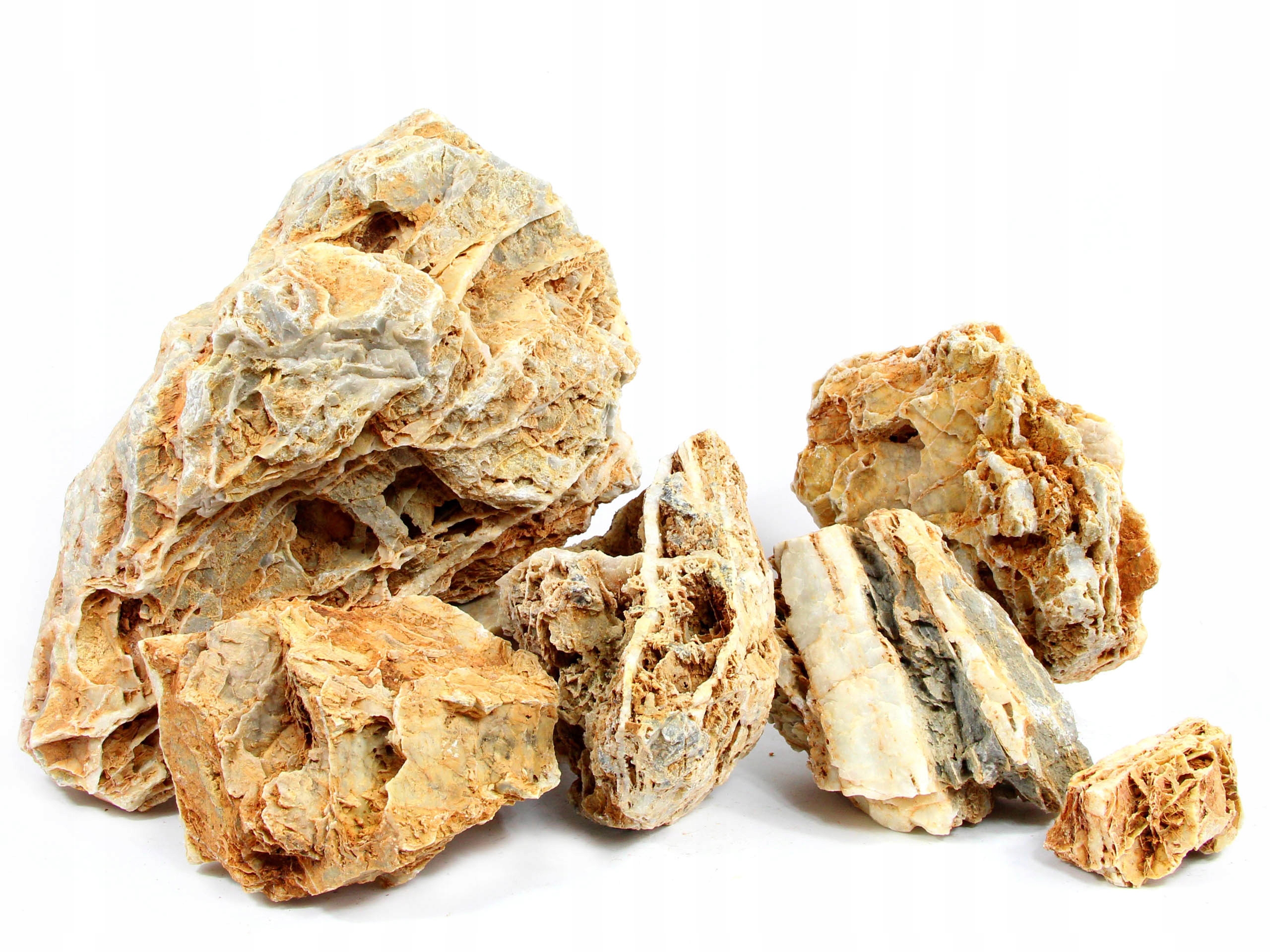 

Chicken Bone Stone Kamień Skała Las W Szkle Słoiku