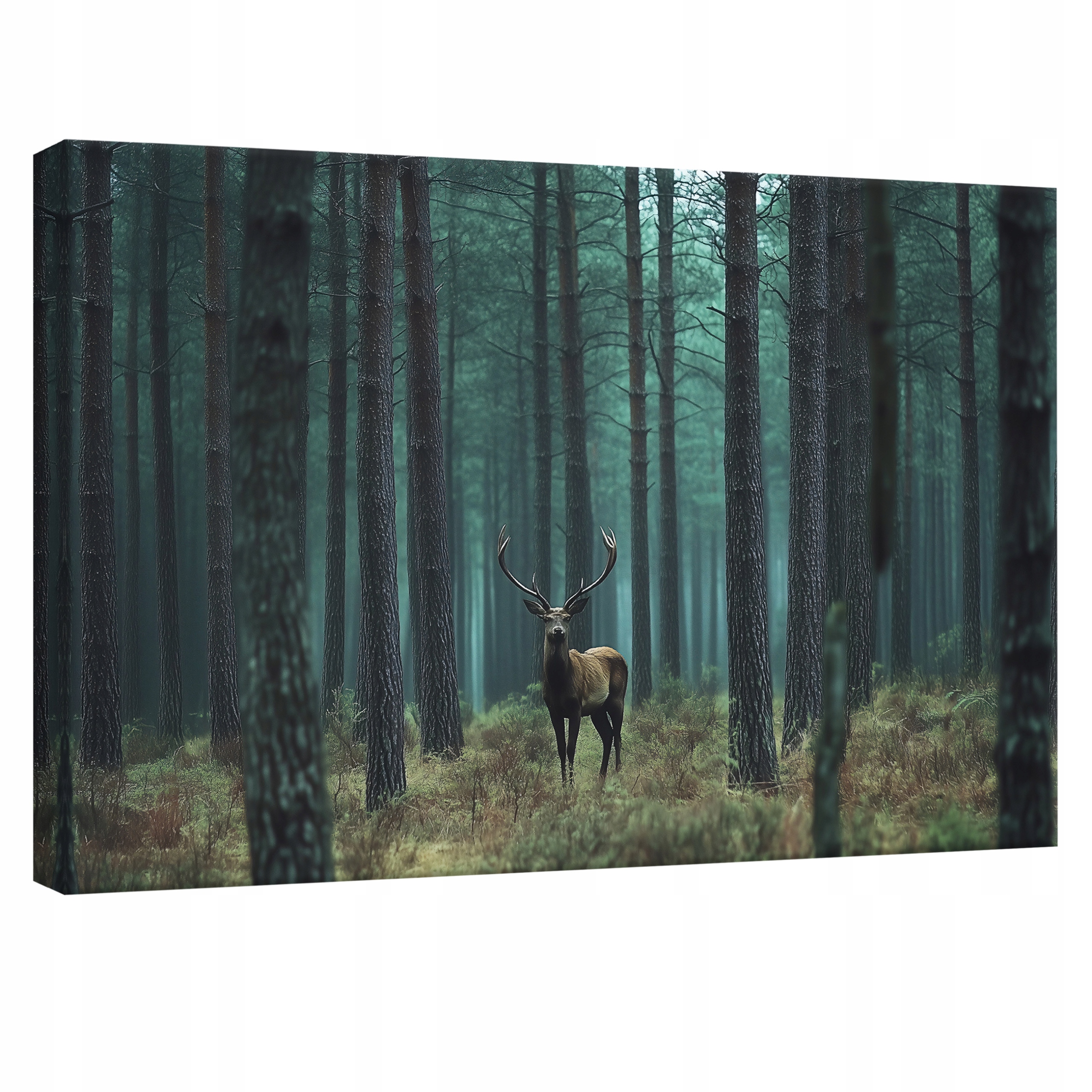 Obraz 120x80 Jelen les mlha příroda borovice tajemství osamělost