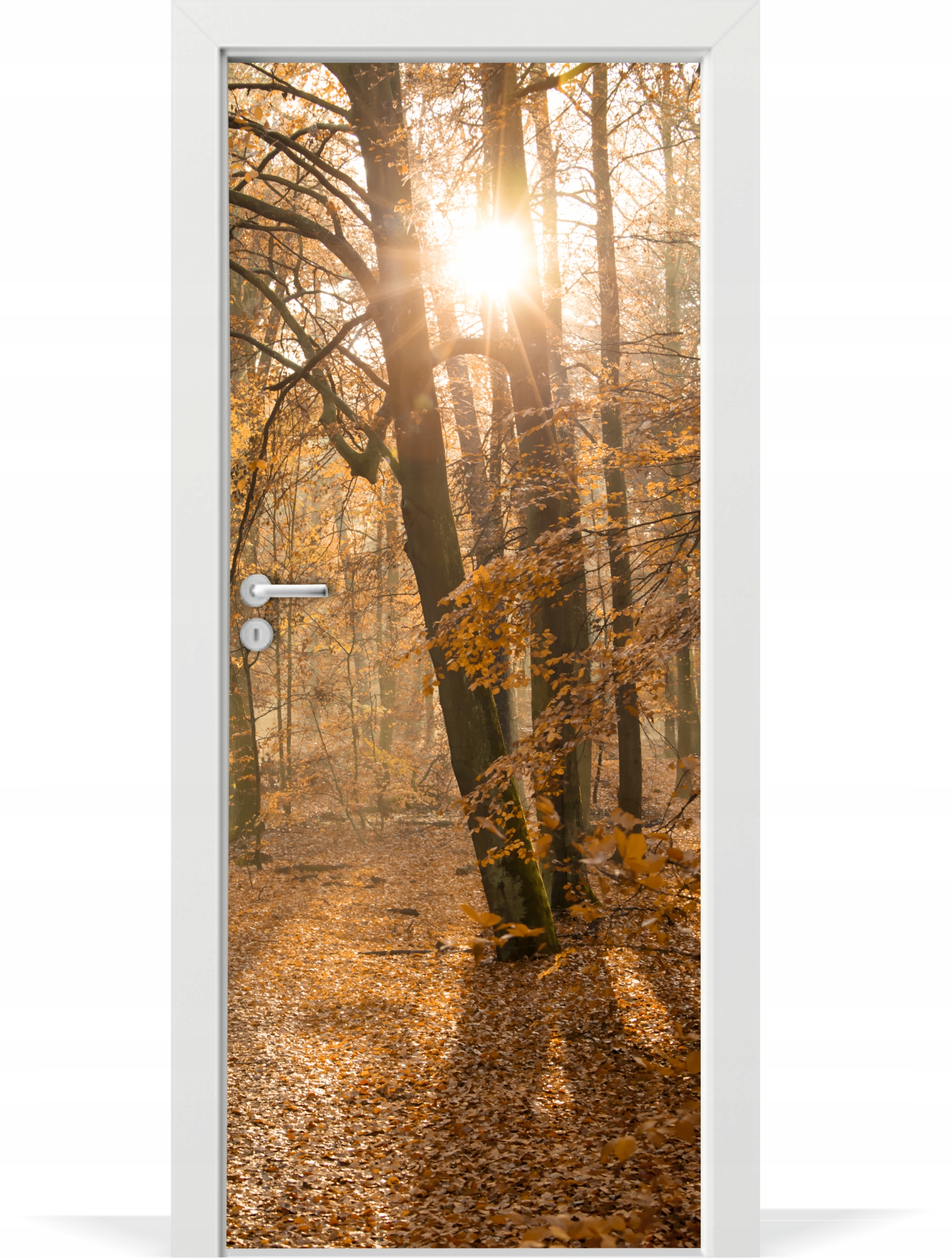 

Folia fototapeta na drzwi Złota jesień las park